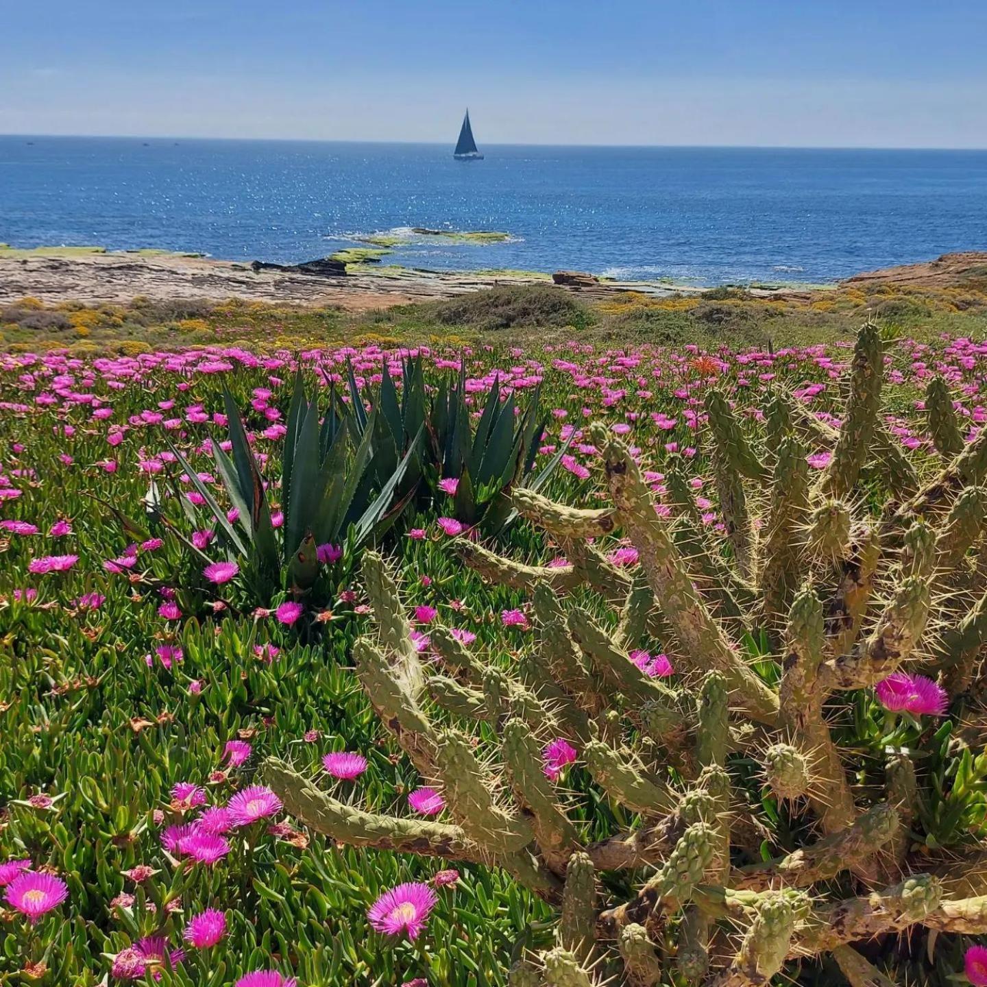 טורבייחה Maravillosa Terraza Con Vistas Al Mar, La Mata מראה חיצוני תמונה