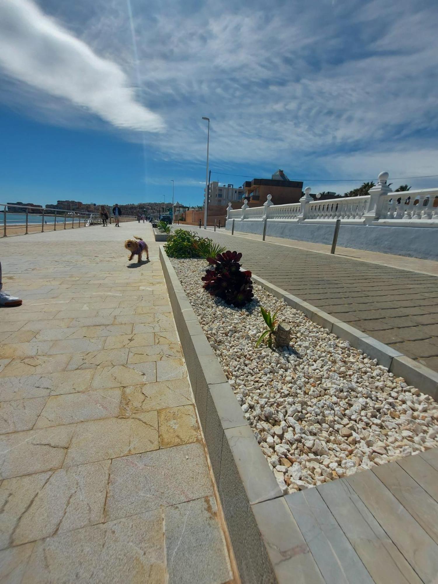 טורבייחה Maravillosa Terraza Con Vistas Al Mar, La Mata מראה חיצוני תמונה