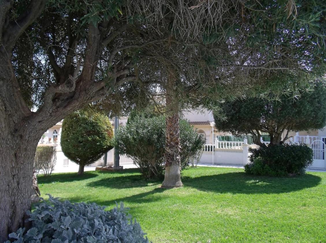טורבייחה Maravillosa Terraza Con Vistas Al Mar, La Mata מראה חיצוני תמונה